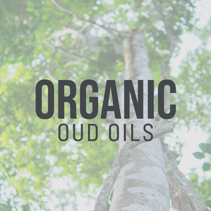 Organic Oud