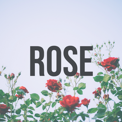 Rose & Florals