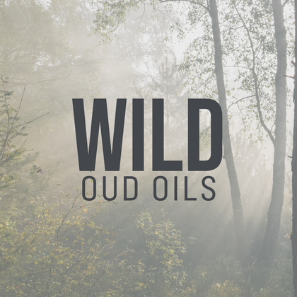 Wild Oud
