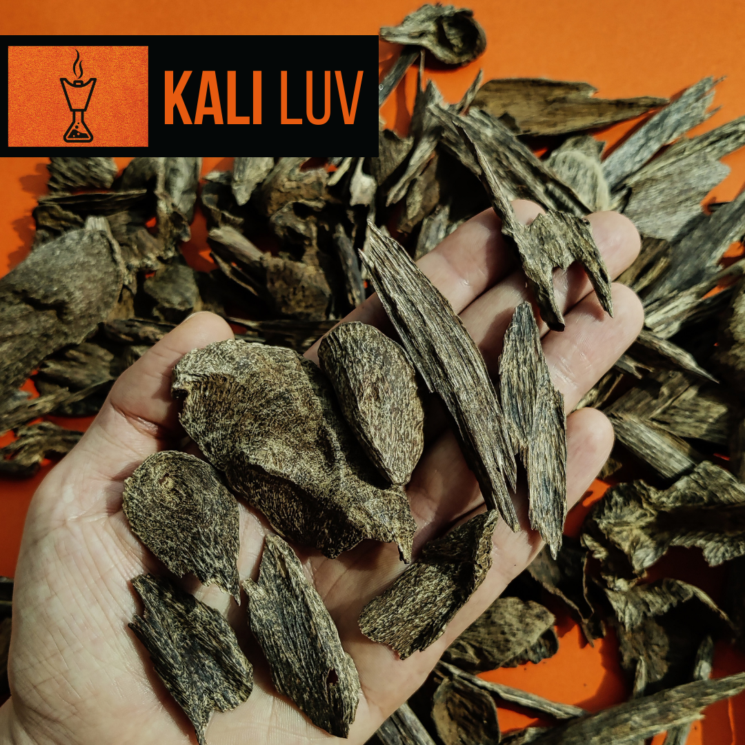 Kali Luv – The Oud Lab